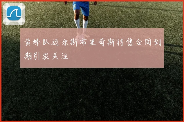 黄蜂队迈尔斯布里奇斯待售合同到期引发关注